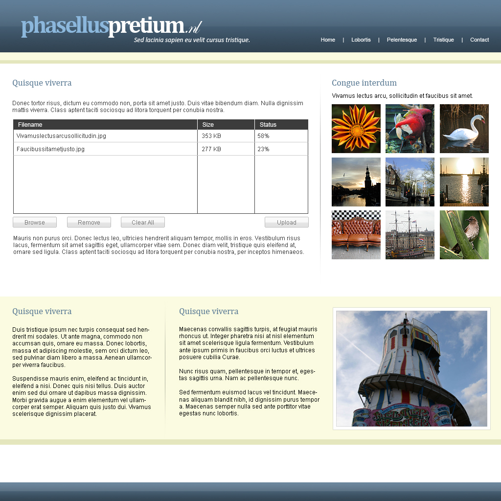 Zakelijke lay-out - 5 pagina's-index3-jpg