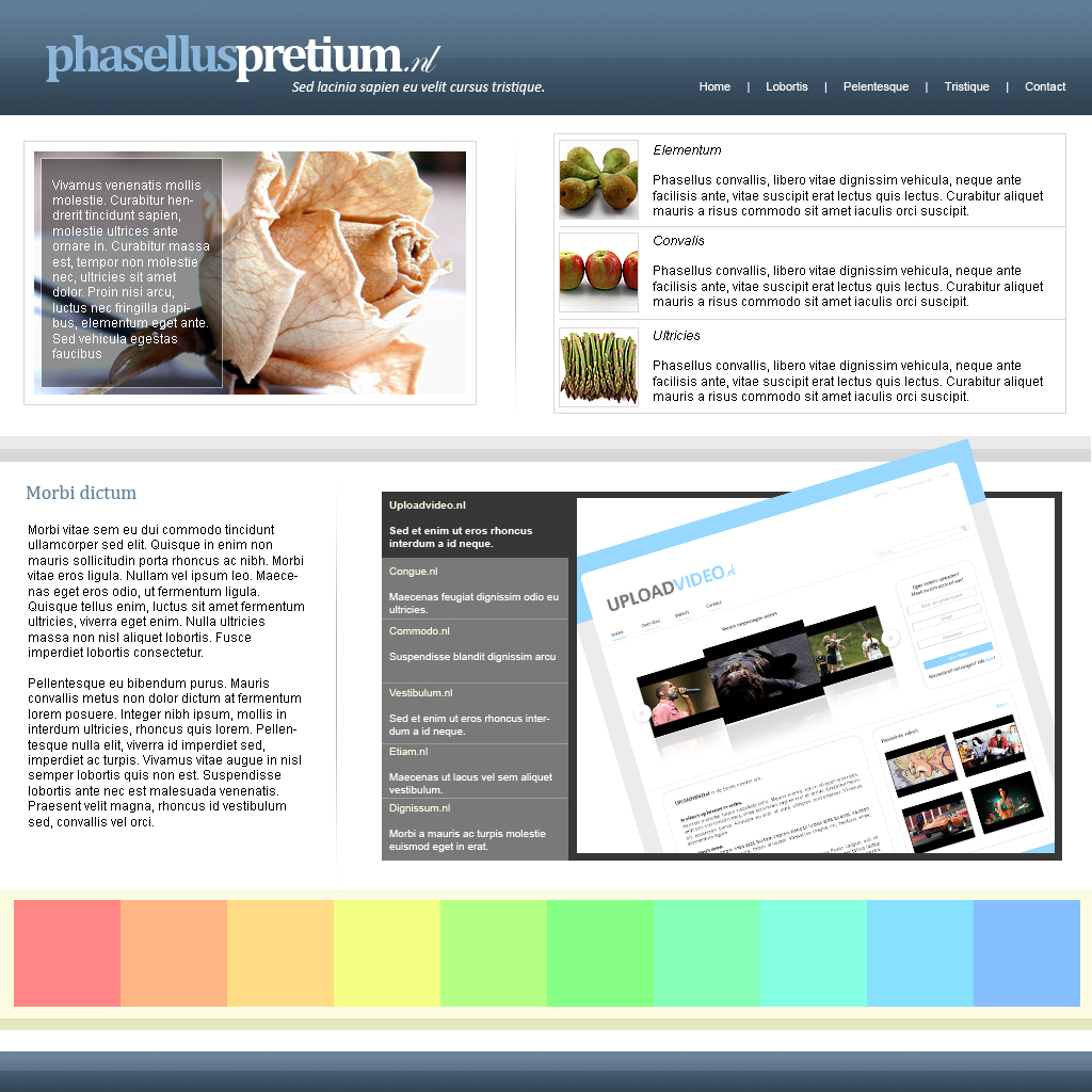 Zakelijke lay-out - 5 pagina's-index4-jpg