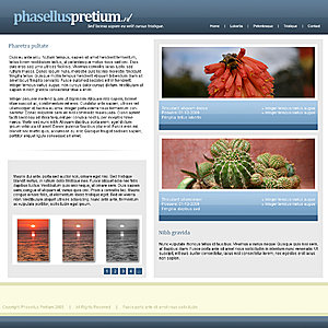 Zakelijke lay-out - 5 pagina's-index5-jpg