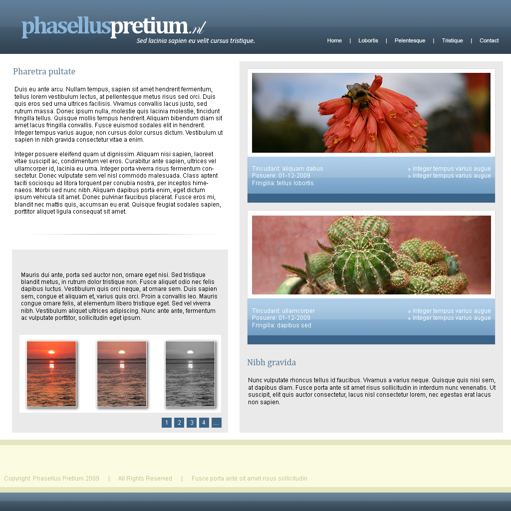 Zakelijke lay-out - 5 pagina's-index5-jpg