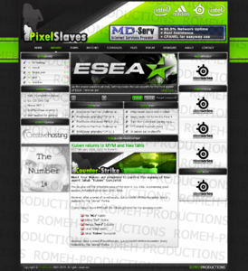 Professionele clan layout-pixelslaves-website-png