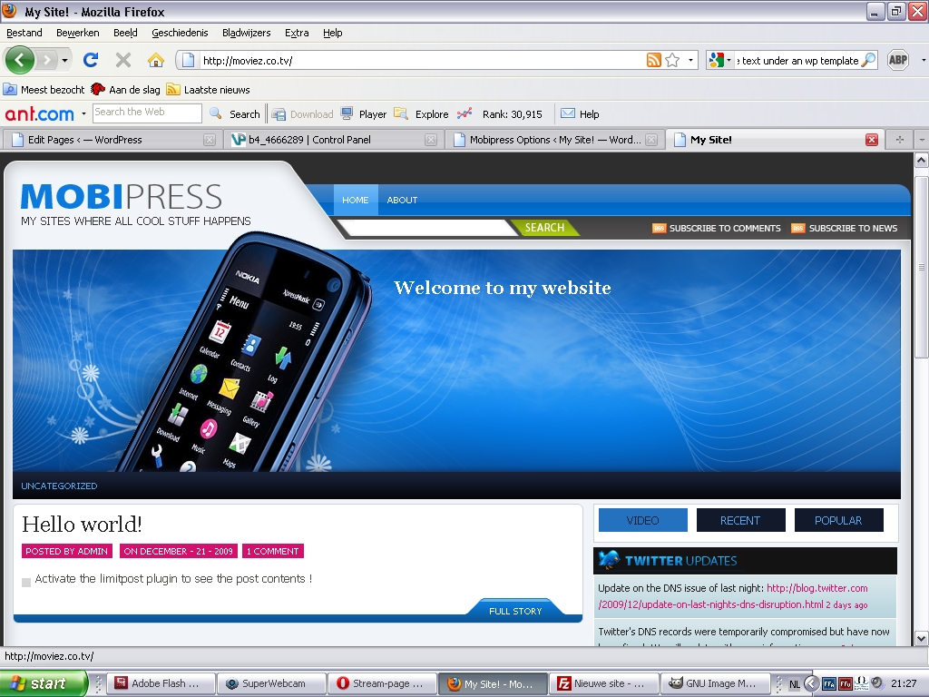 een mooie wordpress template-naamloos4-jpg