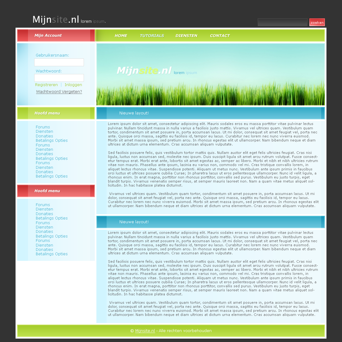 Fris ontwerp-001-png