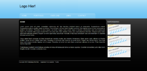 Portfolio layout-2010-png