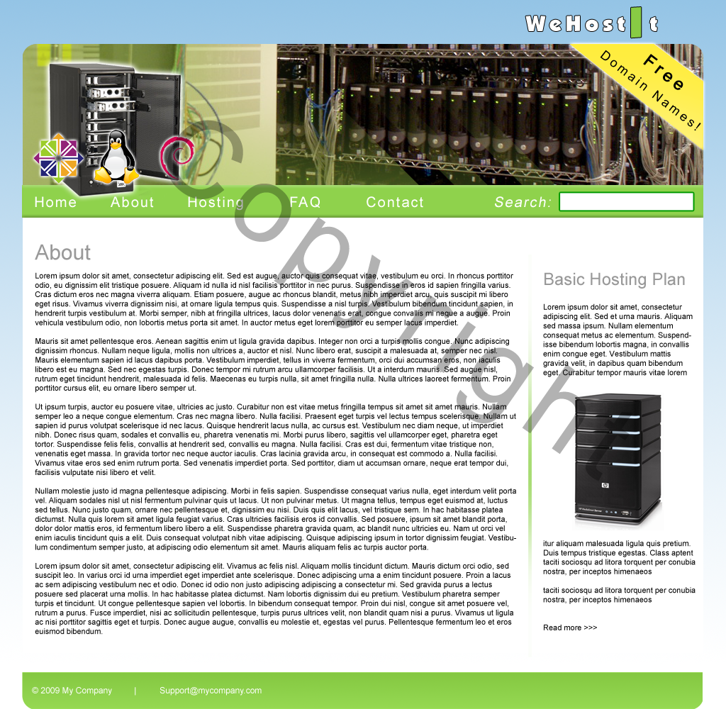 Webhosting basic layout-webhosting-png