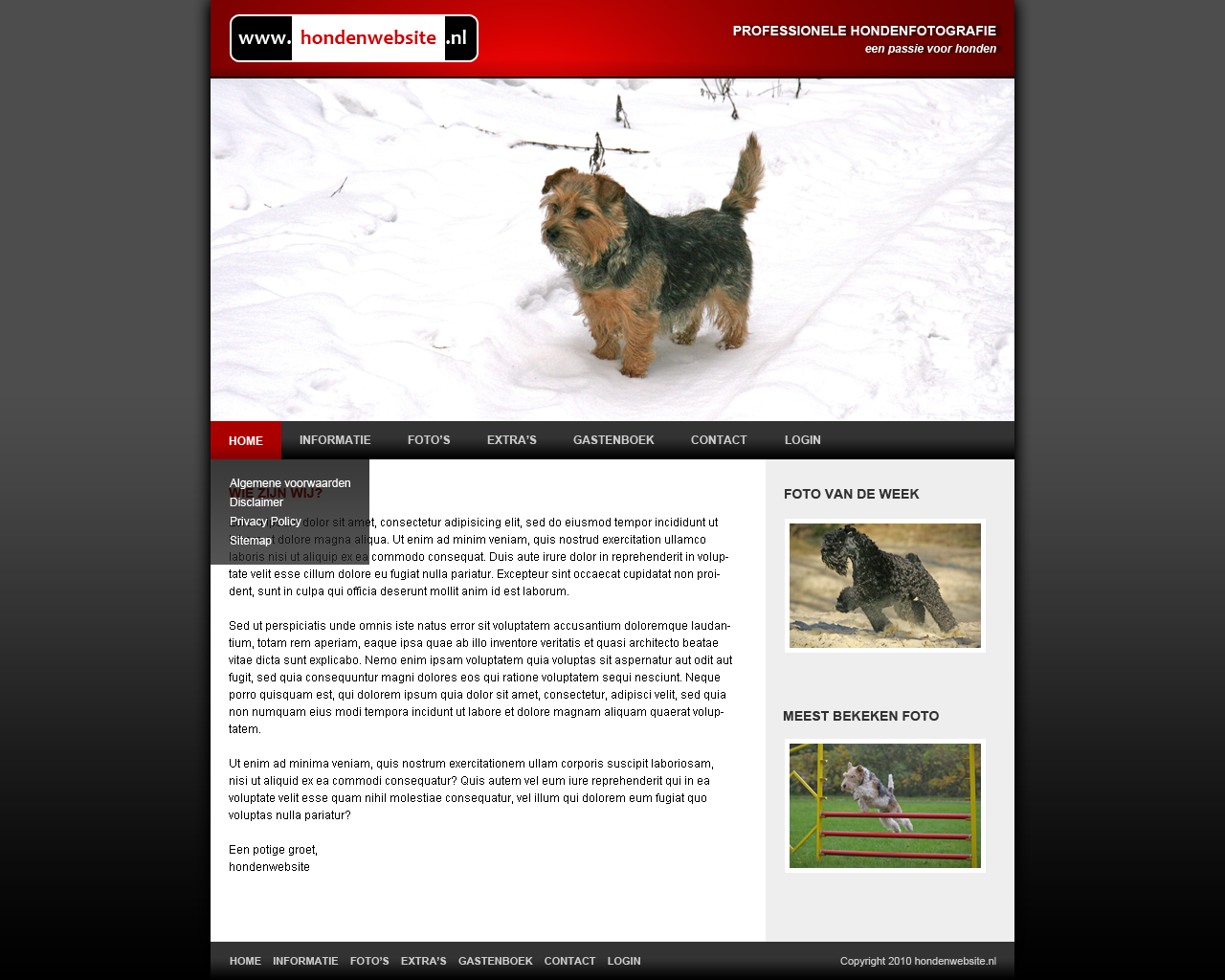 Hondenwebsite layout-hondenopdefoto-png