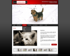 Hondenwebsite layout-hondenopdefoto2-png
