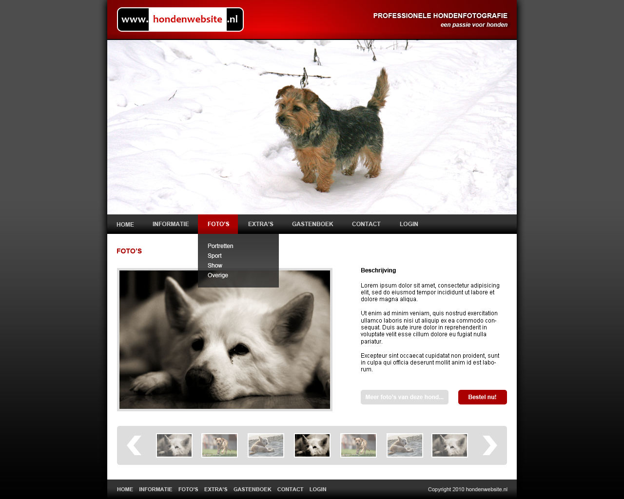 Hondenwebsite layout-hondenopdefoto2-png