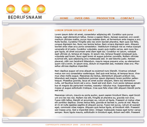 Zakelijke aparte layout-zakelijke-website2-png