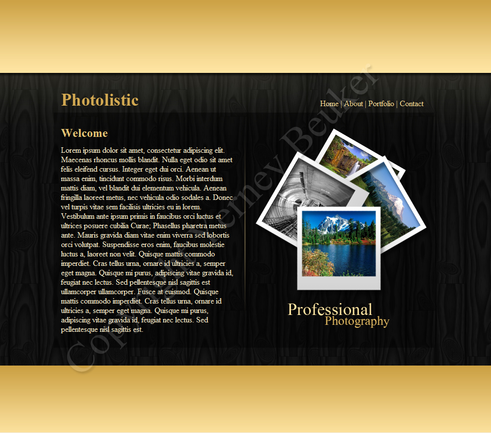 Fotografie Portfolio Lay out-thumb-jpg