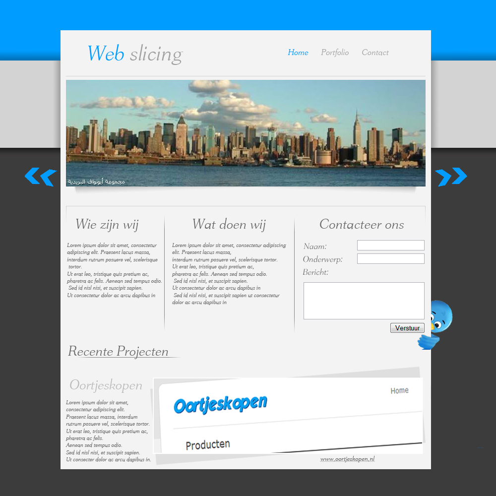 Strakke web 2.0 Portfolio Layout-709qc2-png
