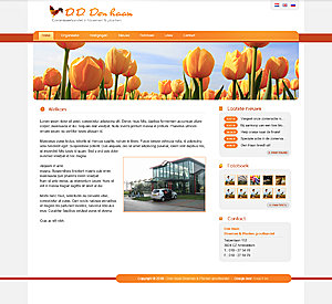 Fris ontwerp (Bloemen)-denhaan2-jpg