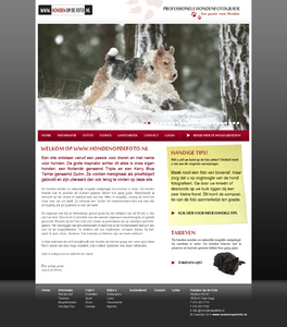 Honden website-hondenopdefoto-png