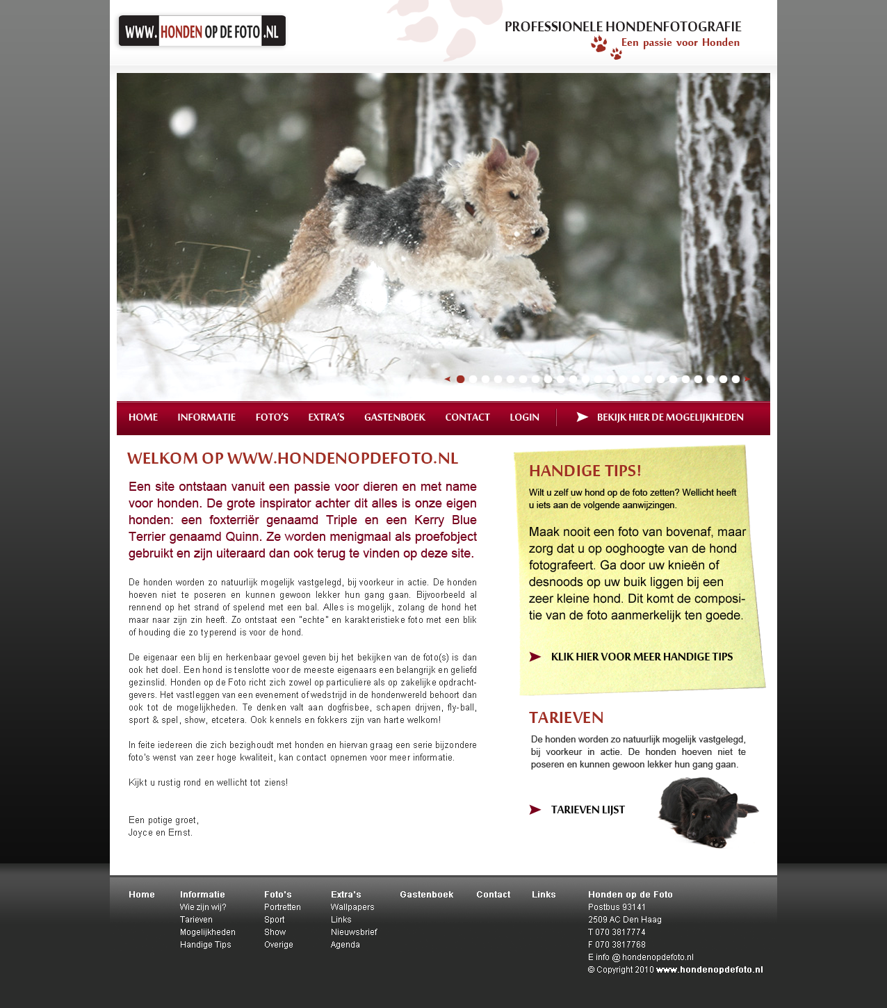 Honden website-hondenopdefoto-png
