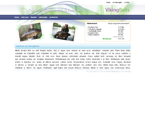 Algemene layout-vikingbaits-png