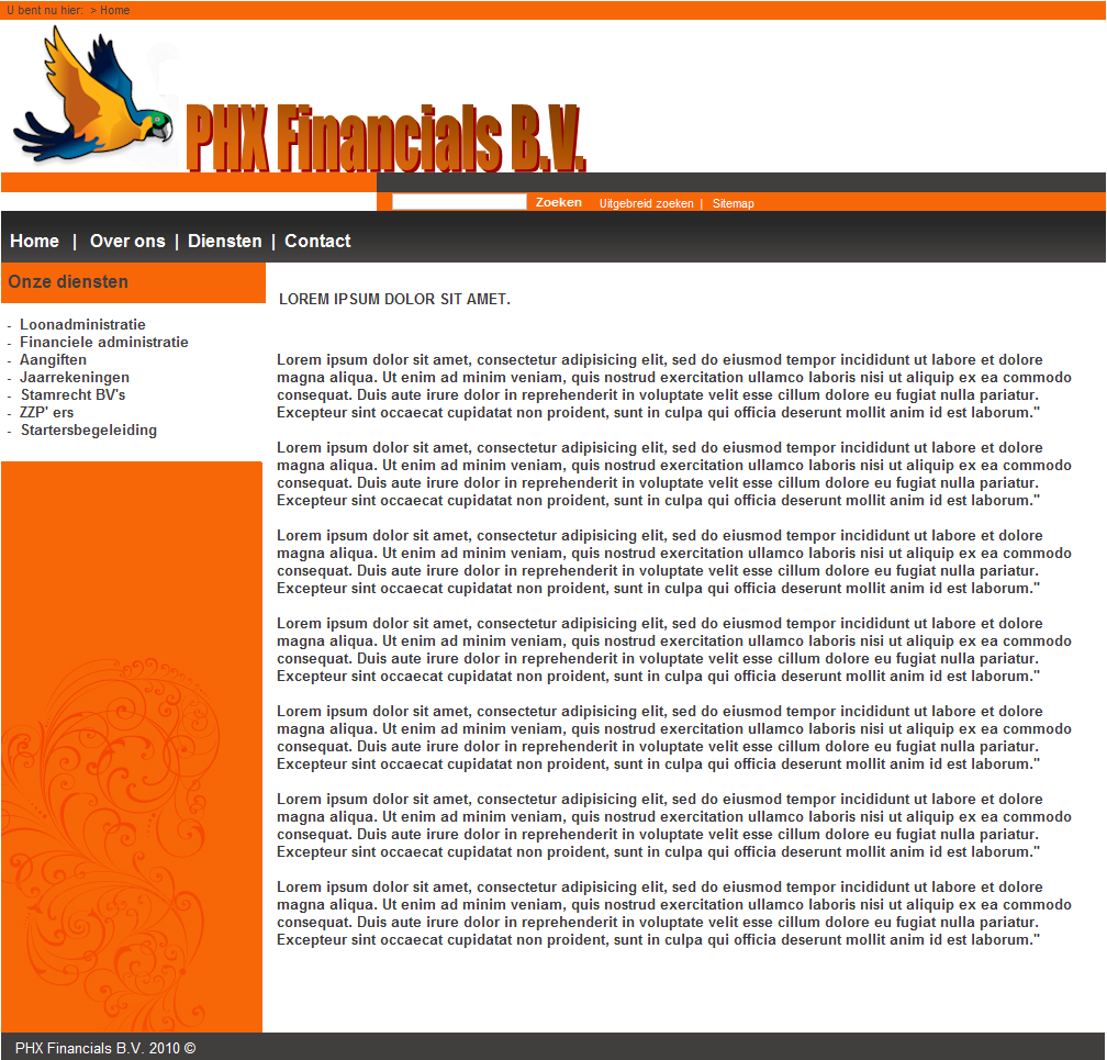 Strak en zakelijke layout-phx001-png