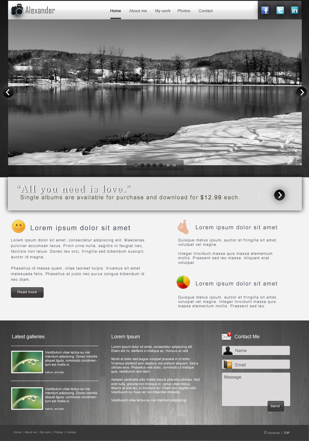 Photography/Portfolio layout-preview-png