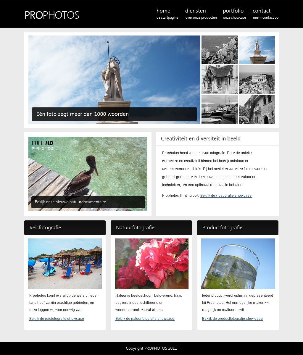 Strak &amp; Stijlvol Portfolio Ontwerp-prophotoslive-jpg