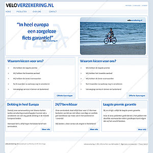 Mooie Zakelijke Layout met Passende Domeinnaam-veloverzekering-jpg