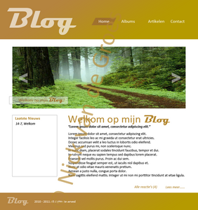 Blog Layout-blog-png