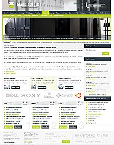 Zakelijke hosting Layout-voorbeeld-jpg