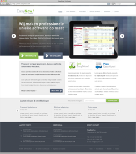 Strakke Zakelijke Layout-easy_now-png