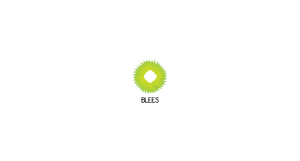 Net en strak logo-blees-png