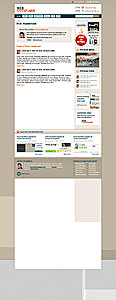 Professioneel (Wordpress) weblog template PSD, mooi kleuren palet en logo-weboverflow-auteur-jpg