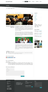 Storemore, zakelijk doch speelse website-storemore_weblog_artikel-png
