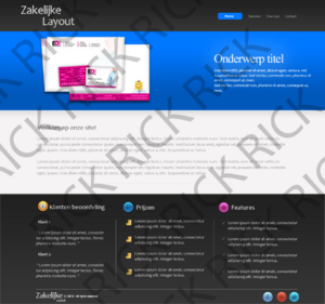 Zeer mooie zakelijke layout.-layout2-png