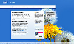 Frisse, kleurrijke layout | 37,50 euro-idendity-copy-jpg