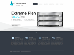 Hosting / Webdesign layout-webhosting-design_1350804346452-png