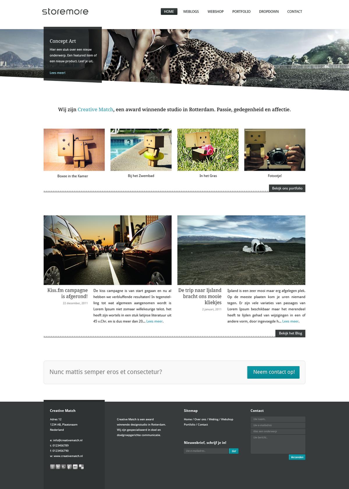 Blog, webshop, portfolio-storemore_home-jpg