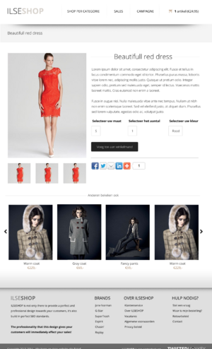 Complete webshop lay-out-single-png