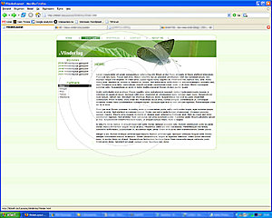 Portfolio Layout met Vlinder | &#8364;30-screenshot-jpg