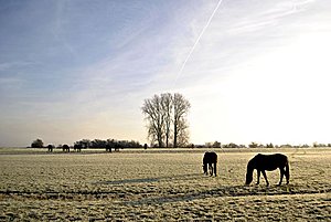 Geld verdienen als ondernemer.-bvdweerd_dsc0368s-jpg