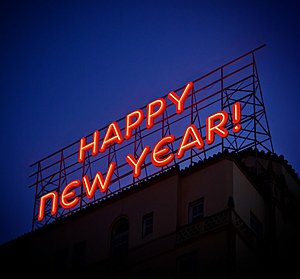 Fijne kerstdagen en een gelukkig nieuwjaar-happy_new_year_hny_new_year_2015_new_year_2016_new_year_2017_holiday_party_celebration-909987-jp-jpg