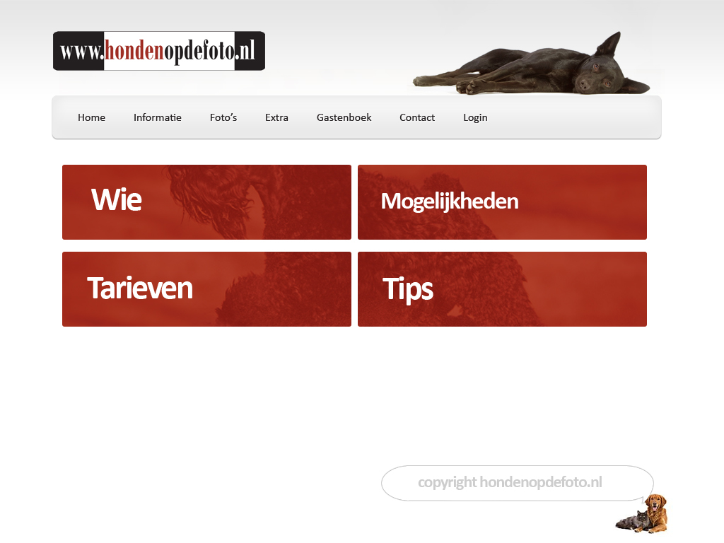-hondenopdefoto-jpg
