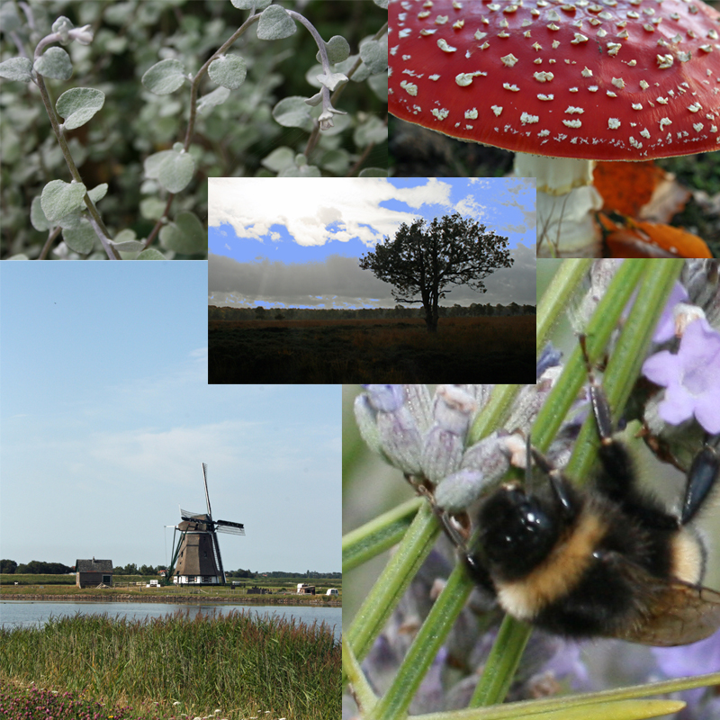 100 foto's met rechten (Natuur) - 12,50-collage-jpg