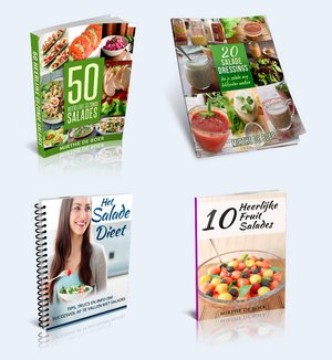 Gezondheids product over Salades-ebook-covers-jpg