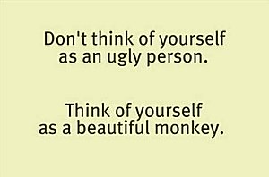 Funny quotes - Afbeeldingen voor meer traffic op Social Media-funny-picture-quotes-106-jpg