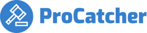ProCatcher - Online tool voor het vangen van domeinnamen uit quarantaine-procatcher-logo-blue-png