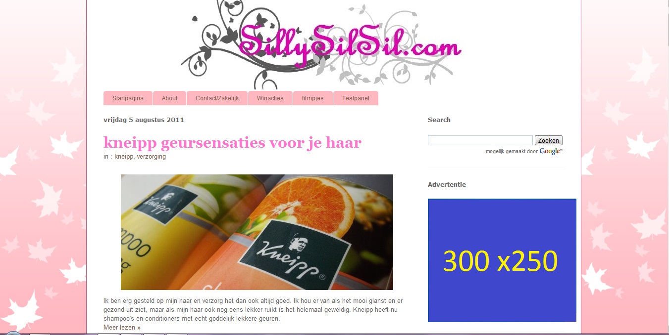 Banner ruimte aangeboden op Sillysilsil.com-vastleggen-volledig-scherm-2011-193119-bmp-jpg