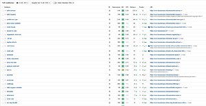 Mooie stijging in Google met onze bewezen linkbuilding sinds 2004 (lage reserve)-boudoirbysara-jpg