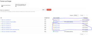 Google Webmastertools fouten..-fetchen-png