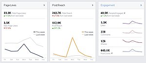 Top Facebook pagina met +33.000 likes te koop (100% echt !) (61% Belgische likes)-facebook-stats-jpg