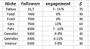 Instagram accounts te koop - diverse niches-1234-jpg