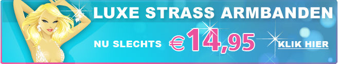 Divastore.nl te koop voor 2250 euro NIEUW-subaanbieding_strass-jpg