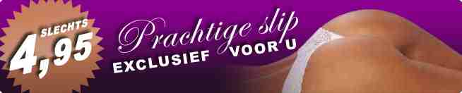 store4lingerie.nl nieuwe webwinkel te koop 2450 euro-subaanbieding-jpg