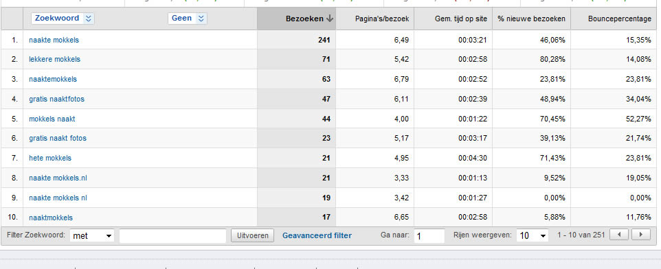 Naaktemokkels.nl | Uniek script+cms | 400 bez. p/dag-analytics2-screen-jpg